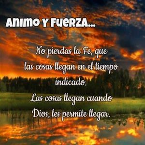 天灬灬啊灬快灬高潮了
